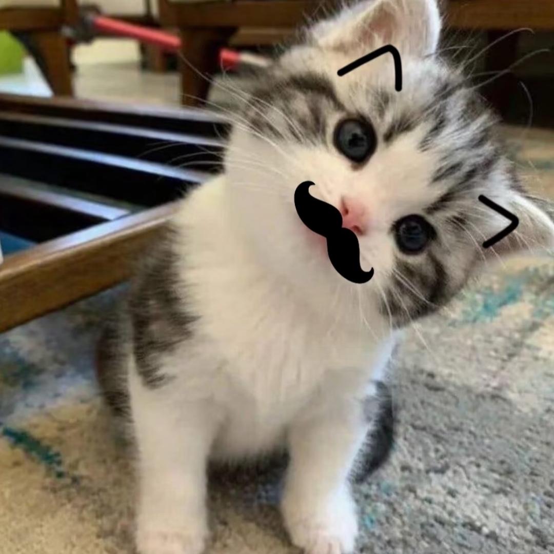 凸^-^凸