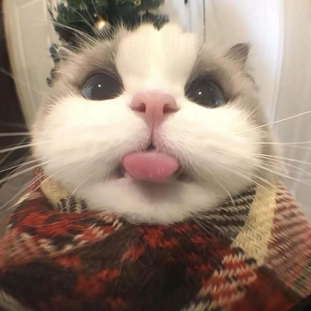 寒封缘
