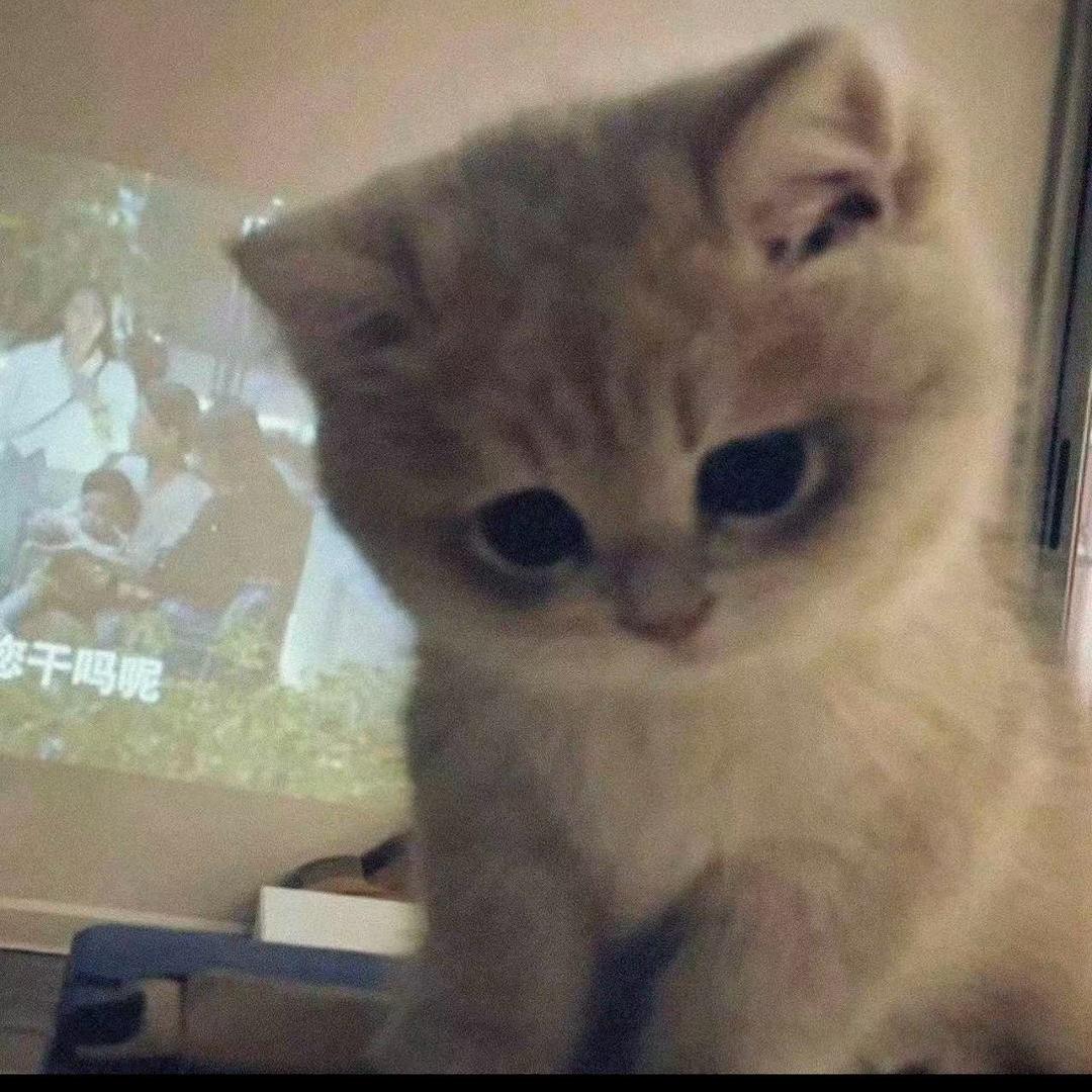 小菜