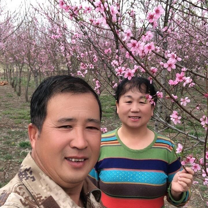 华哥华嫂（晚8:20直播）