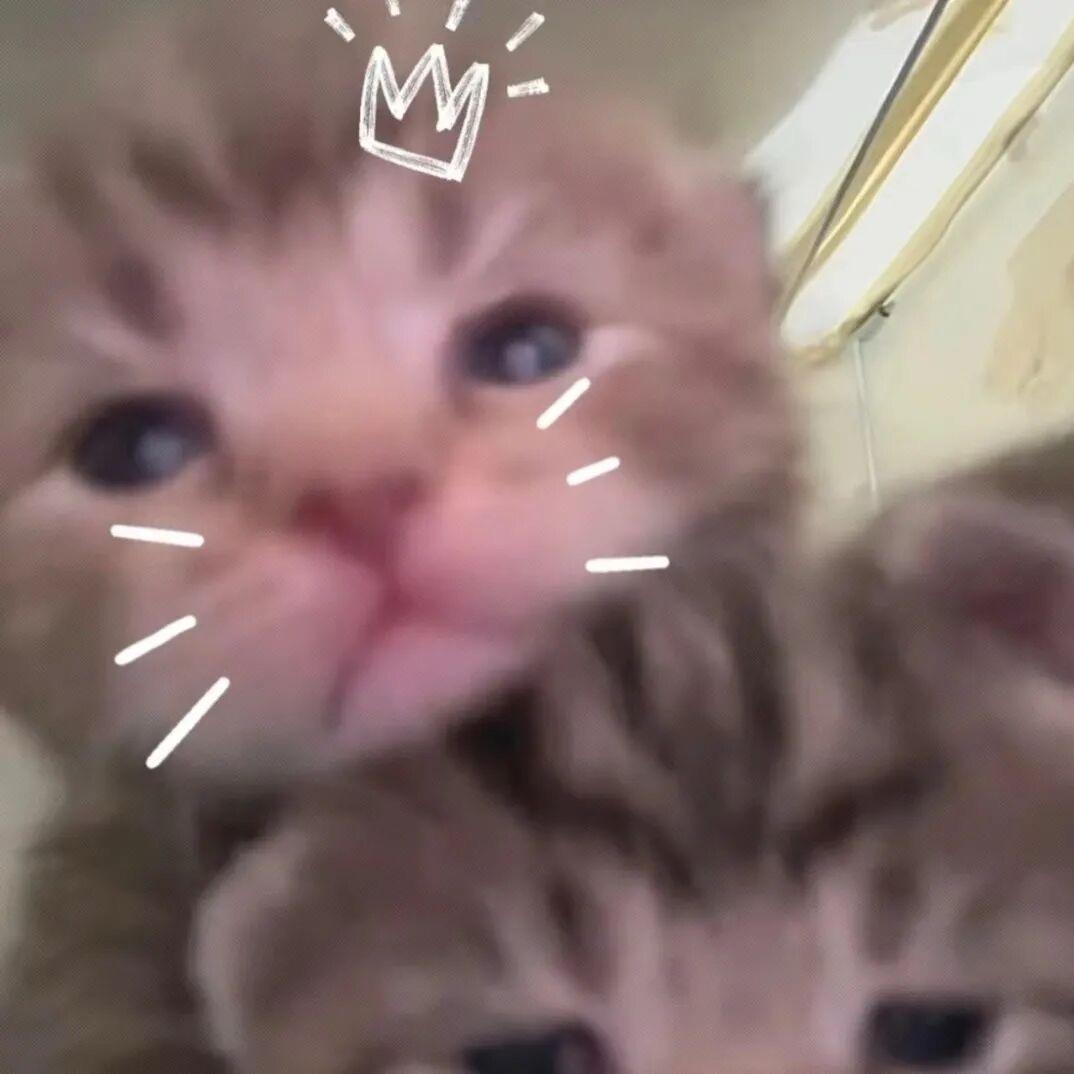 桶同的桶