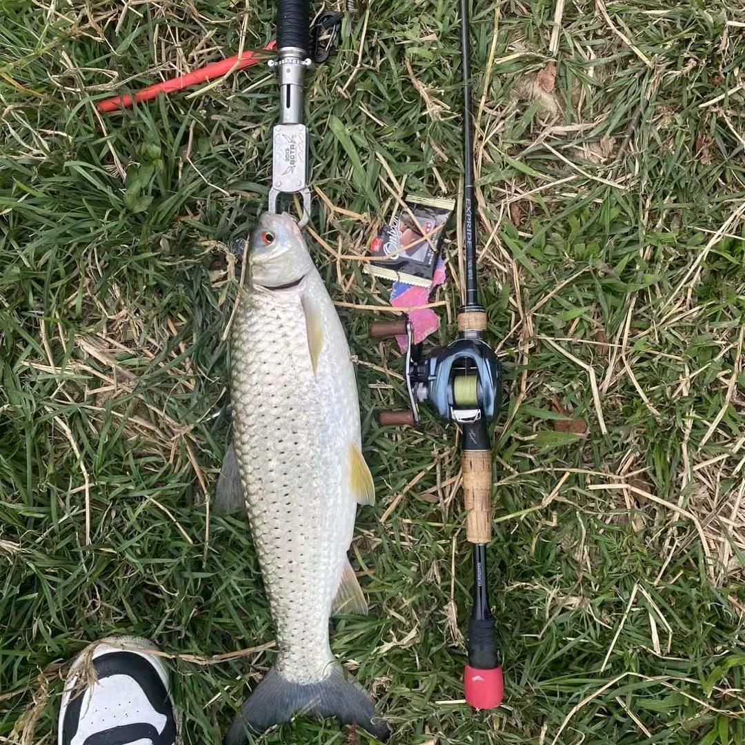 中了路亚的毒🎣