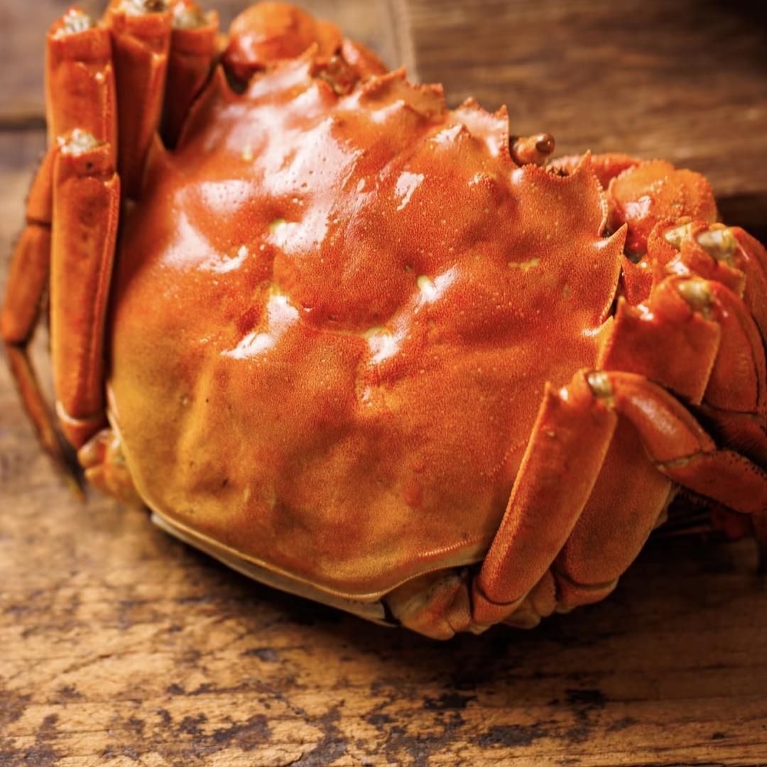 新疆仰望水产店婷姐水产