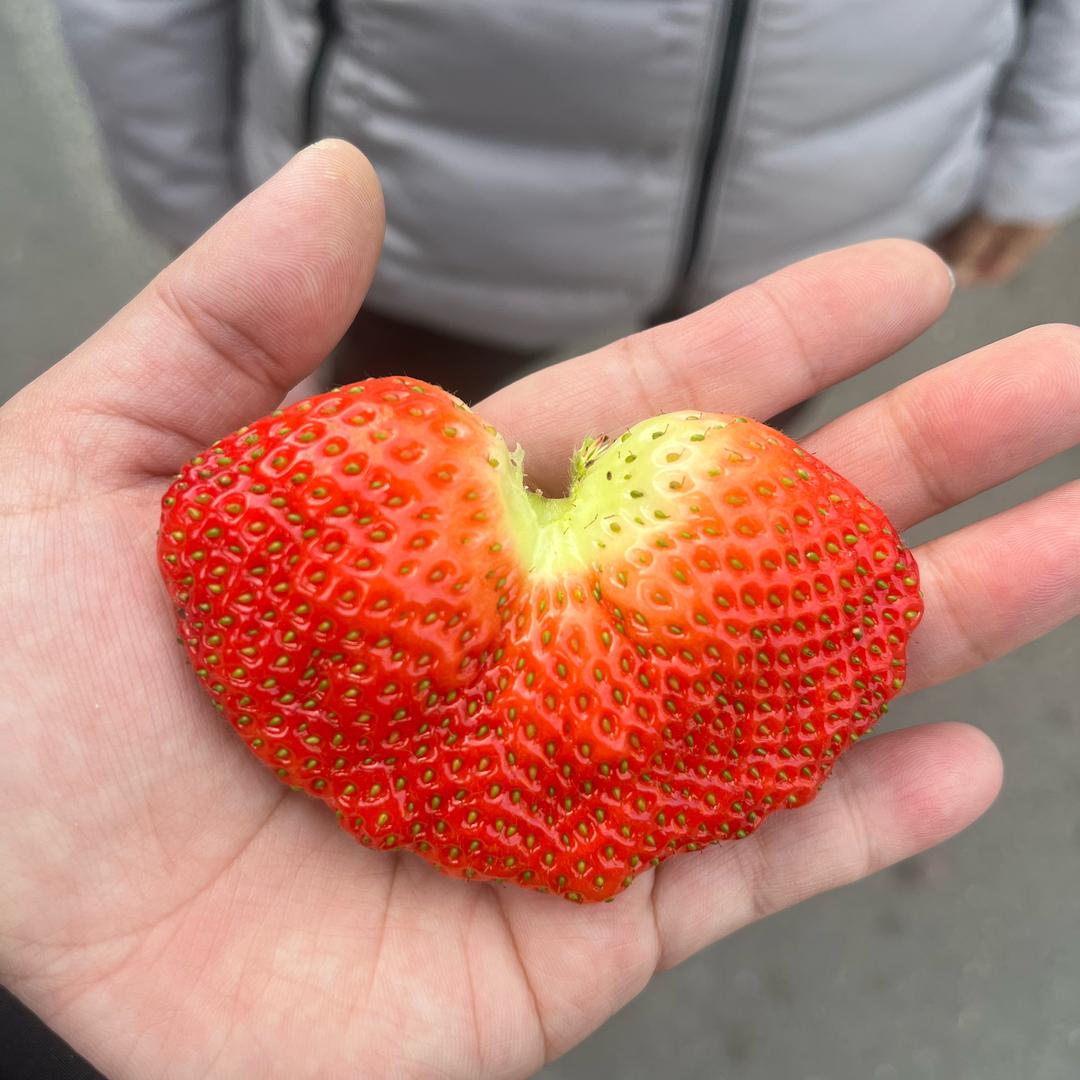 小徐正在接单中..