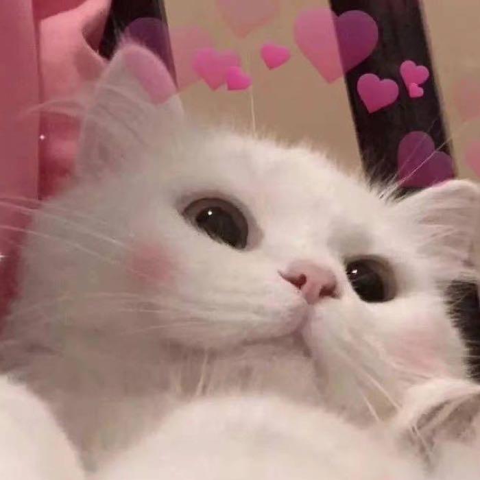 小Nami