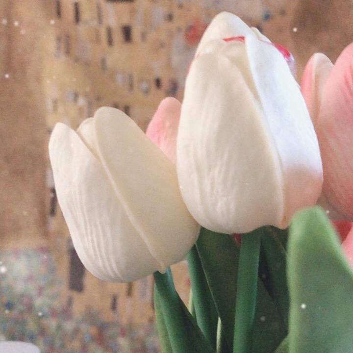 小猪米