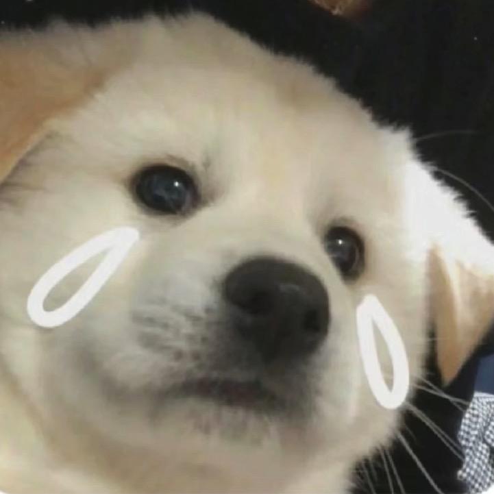 dz爱玩sett