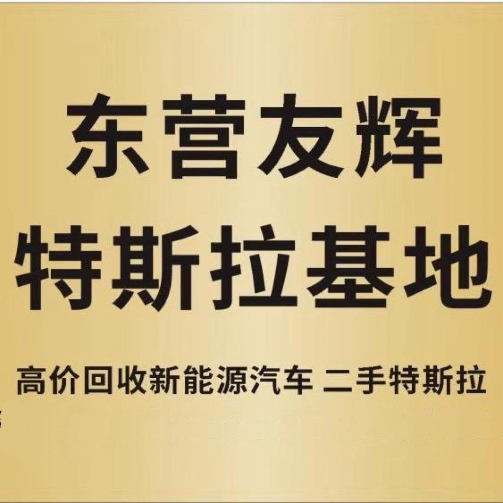 友辉特斯拉二手车