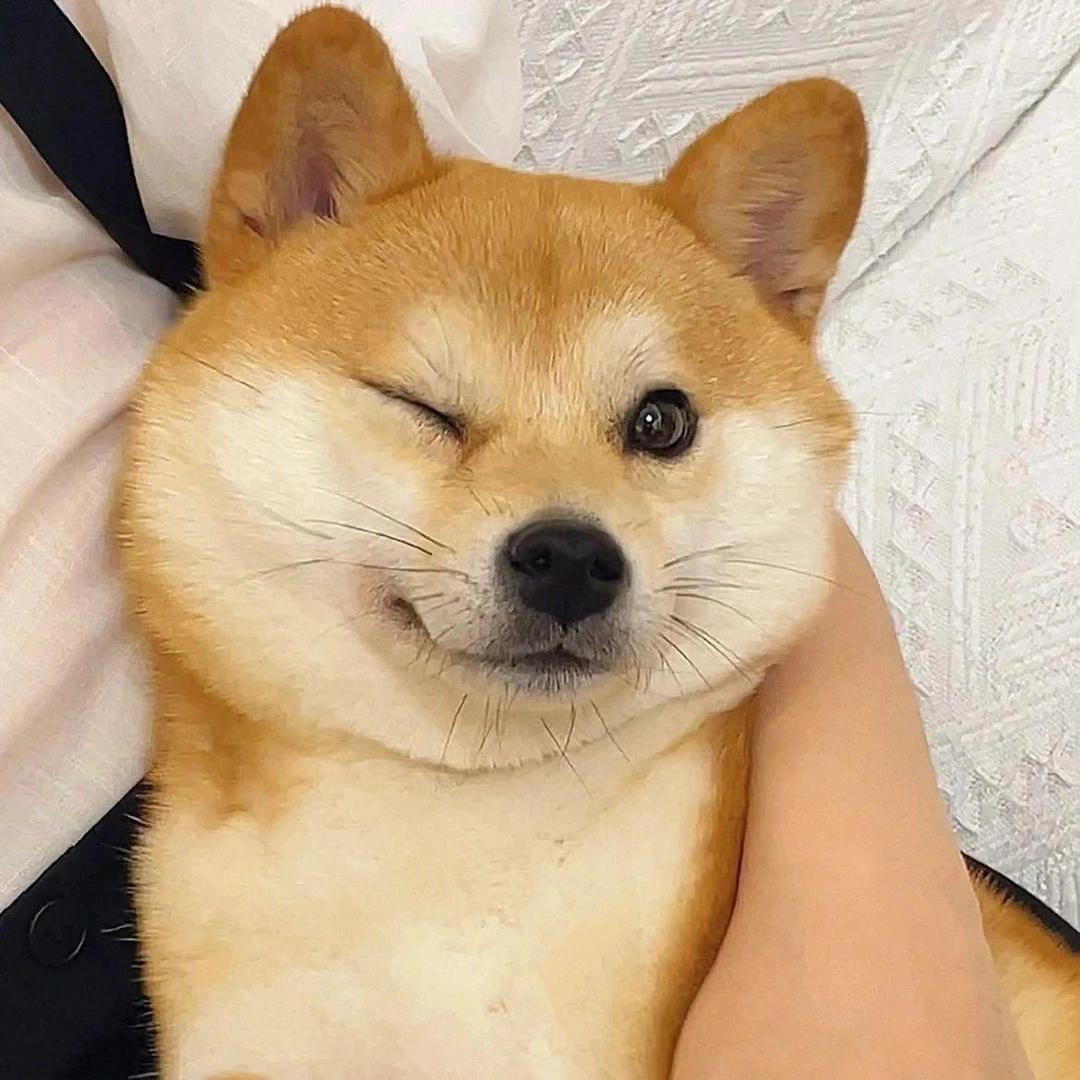 🌻🌈许世安