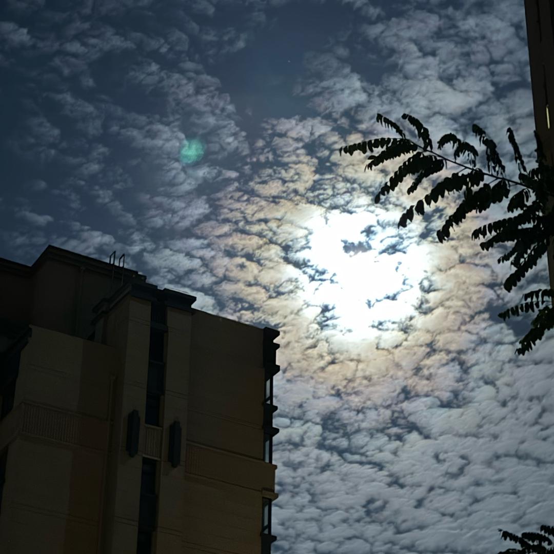 一闪一闪亮✨晶晶💎