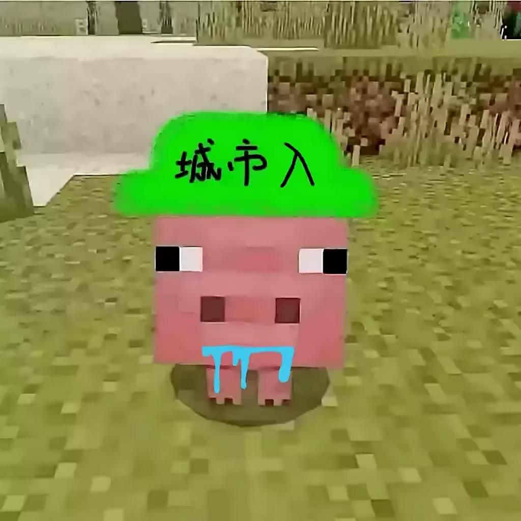 ㅤ  ㅤㅤ没你挺痛的