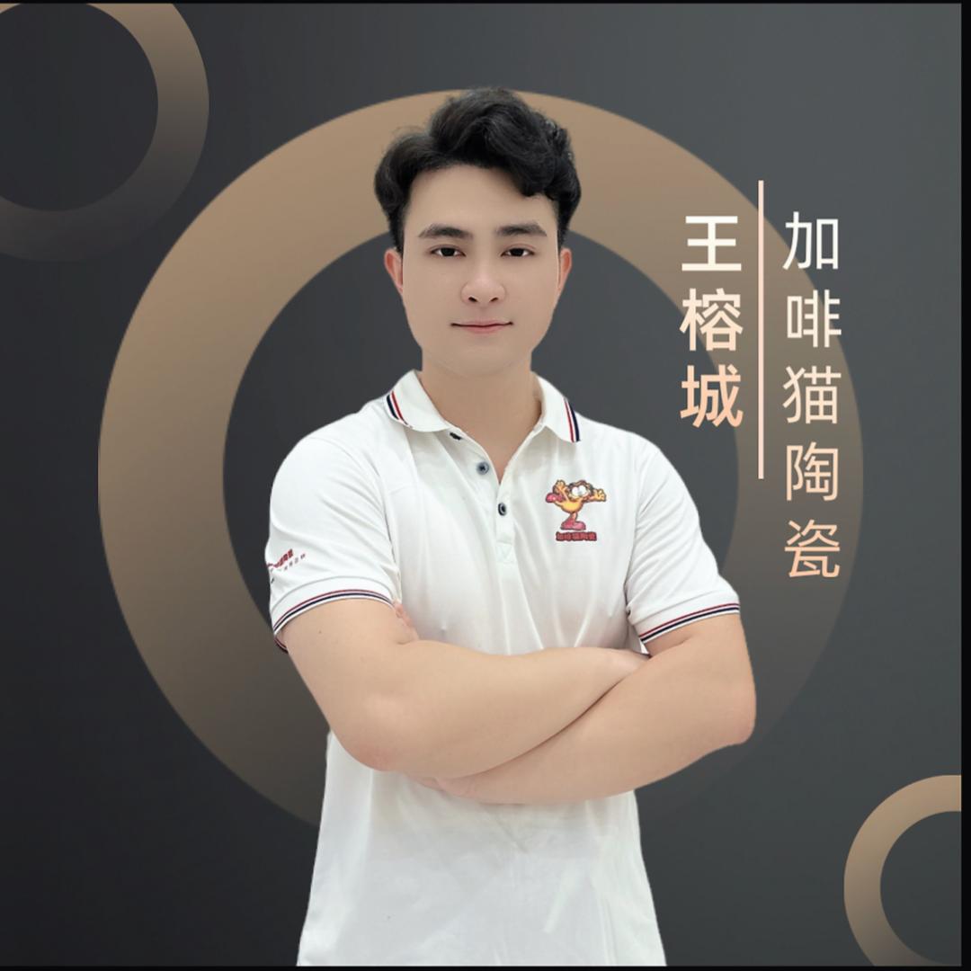 加啡猫仿石外墙瓷砖