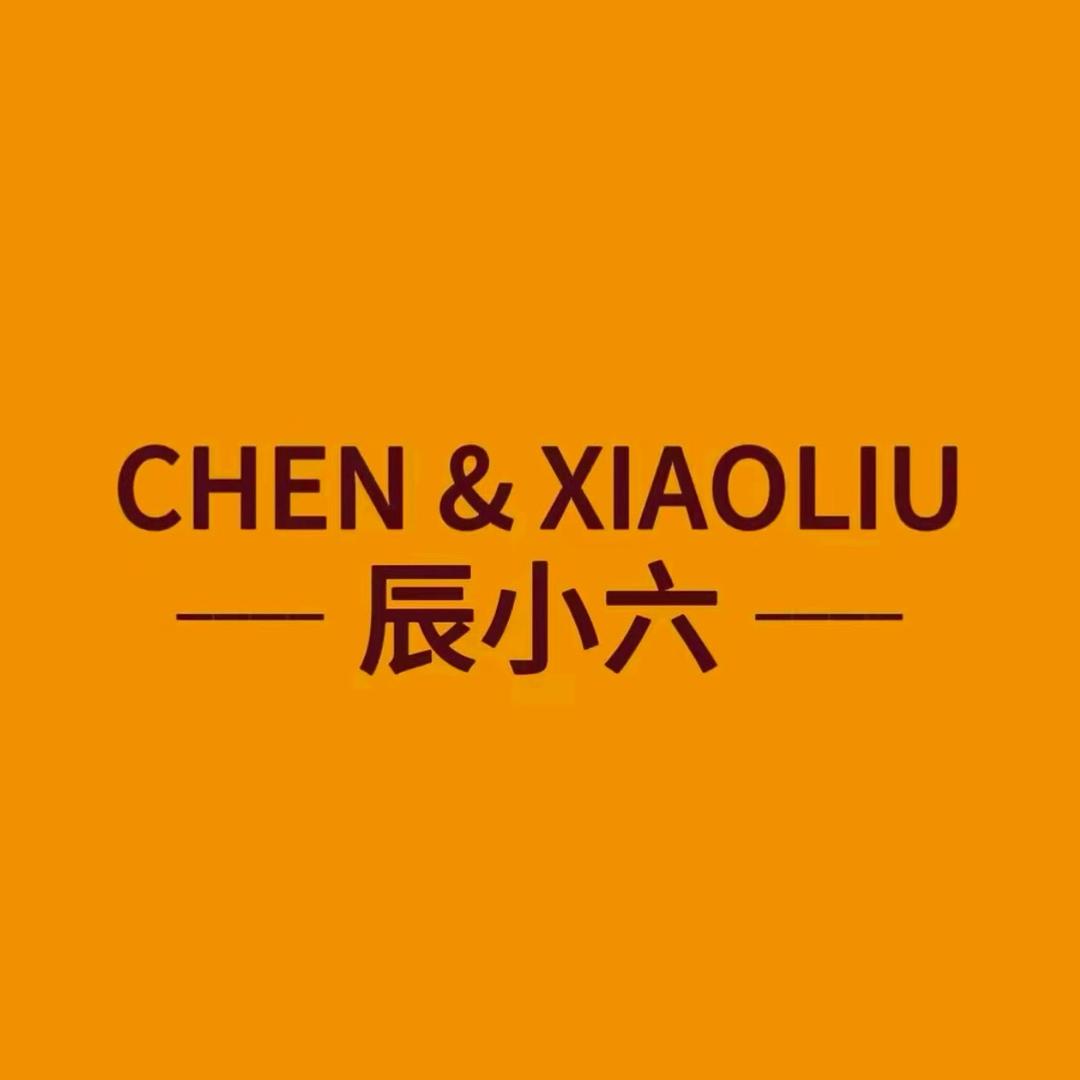 辰小六轻奢女鞋👟