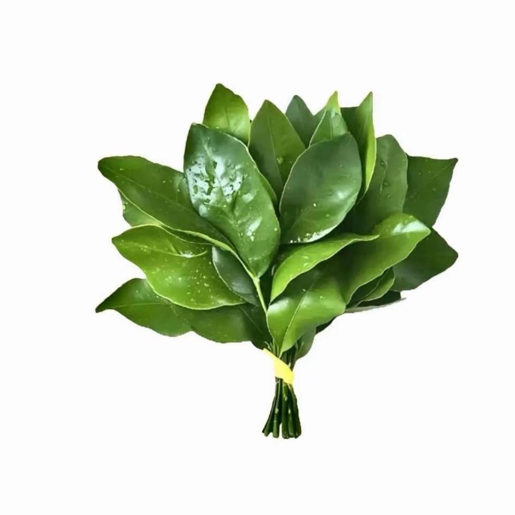 悦