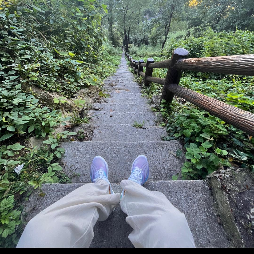 晚风酿酒