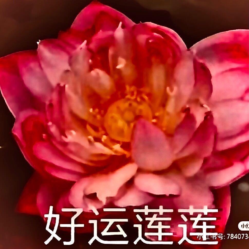 平平安安健健康康