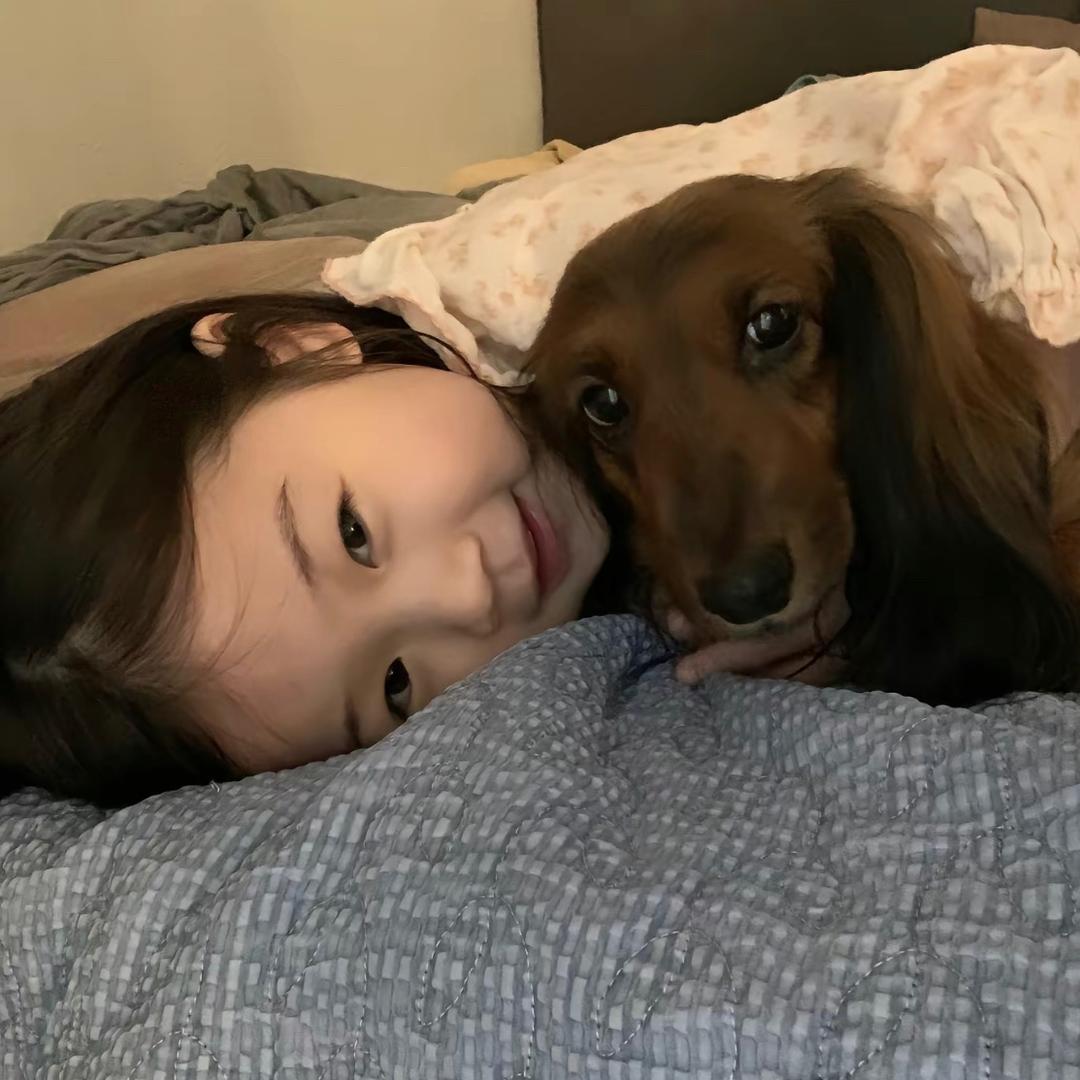 脸圆圆-