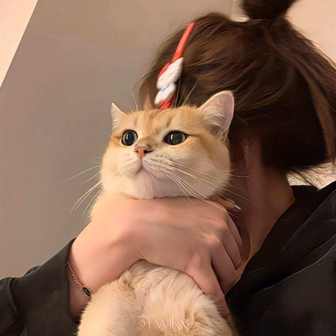 只想睡觉.