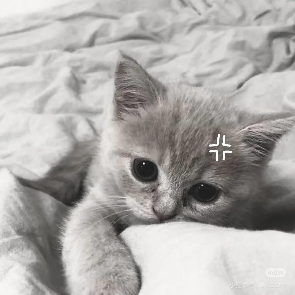 愿惊魂夜没有练角色队友