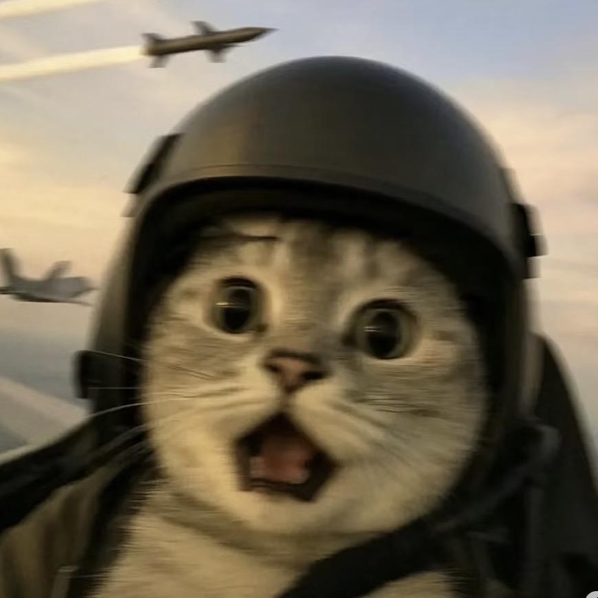 今晚打老虎🐯