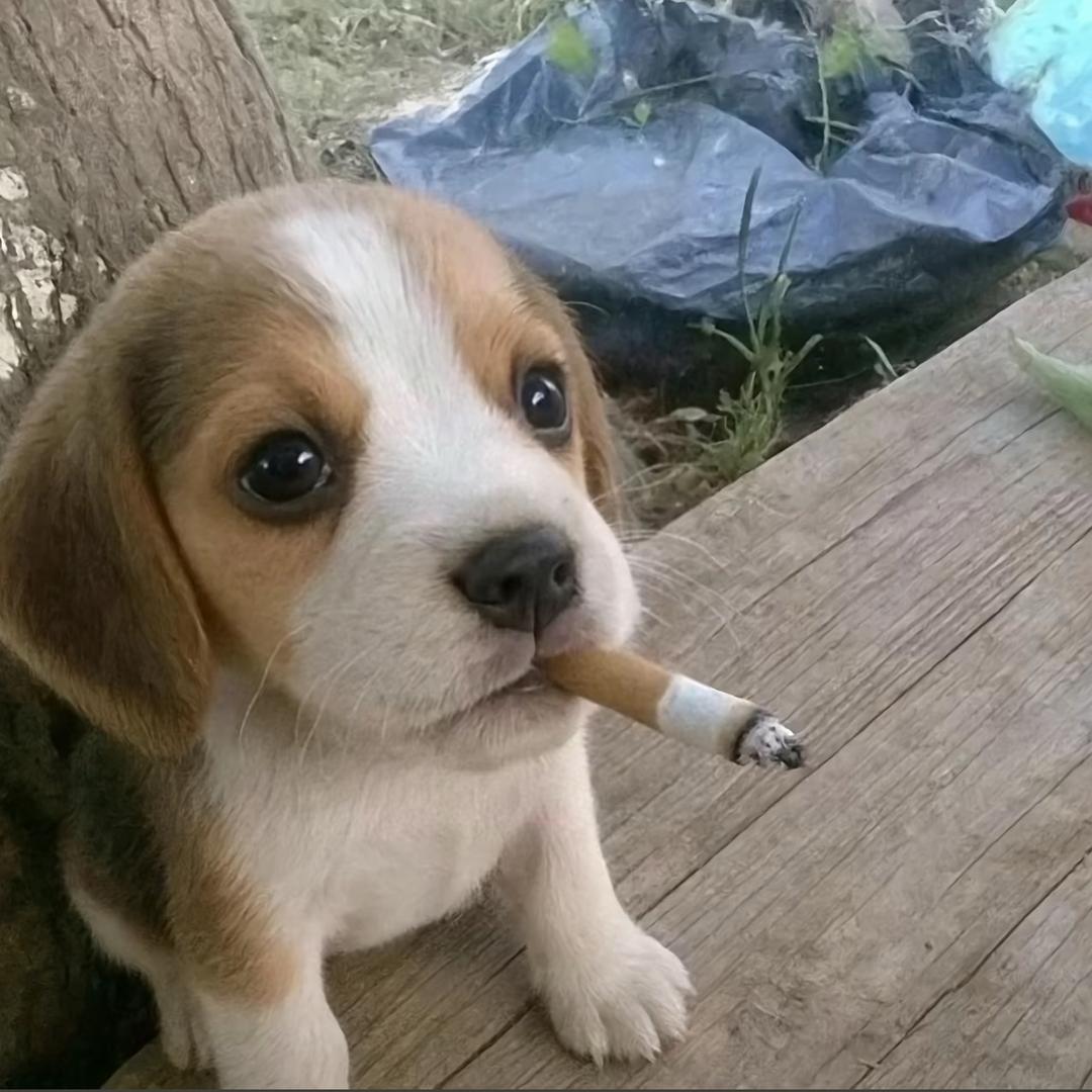 我以为尿的高就可以挡住眼泪