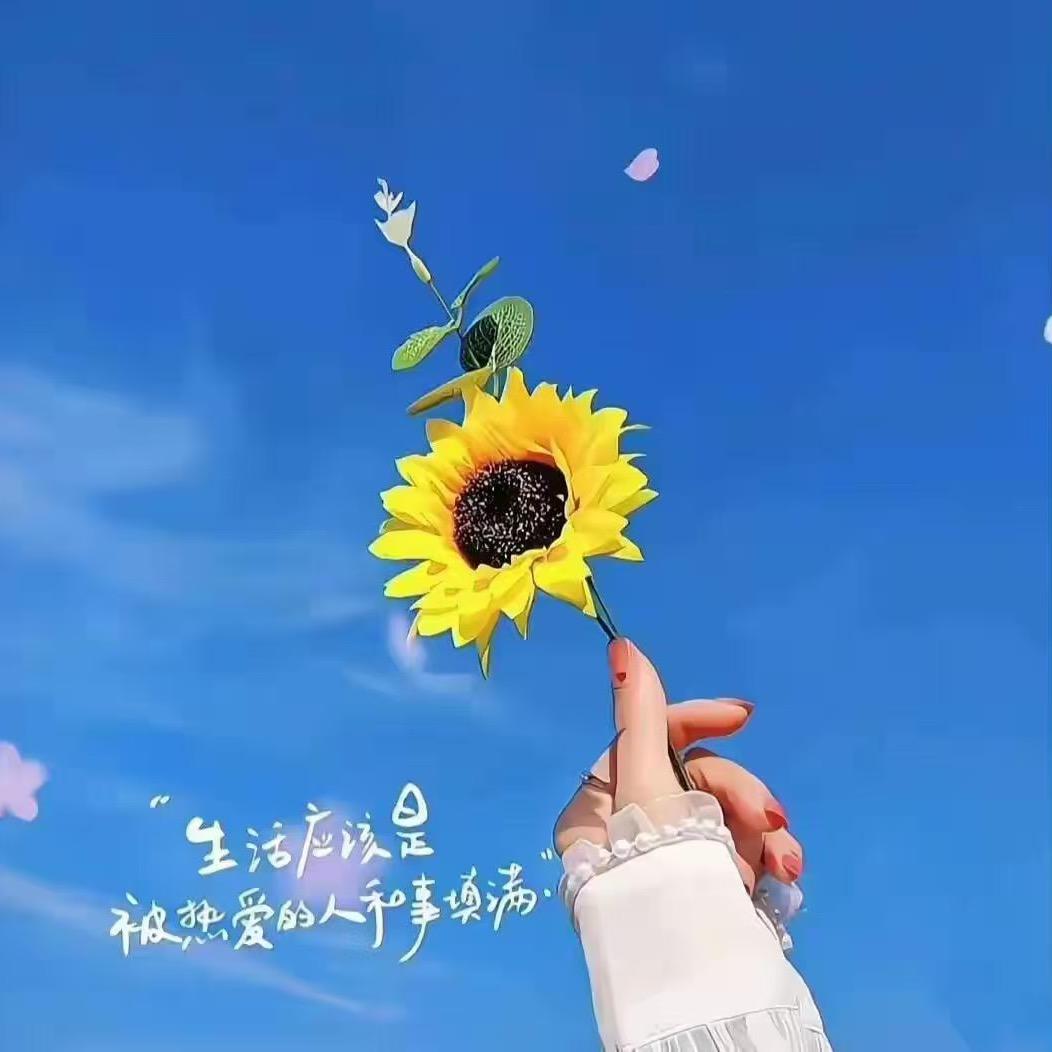 好运连连到