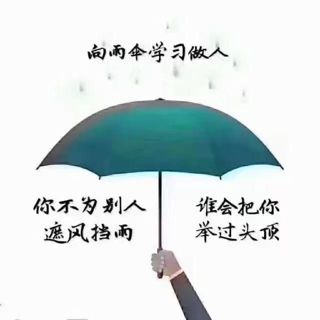 小燕子🎤