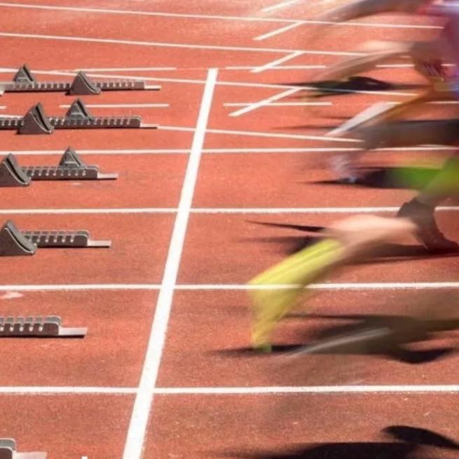 不想抬腿的小黑