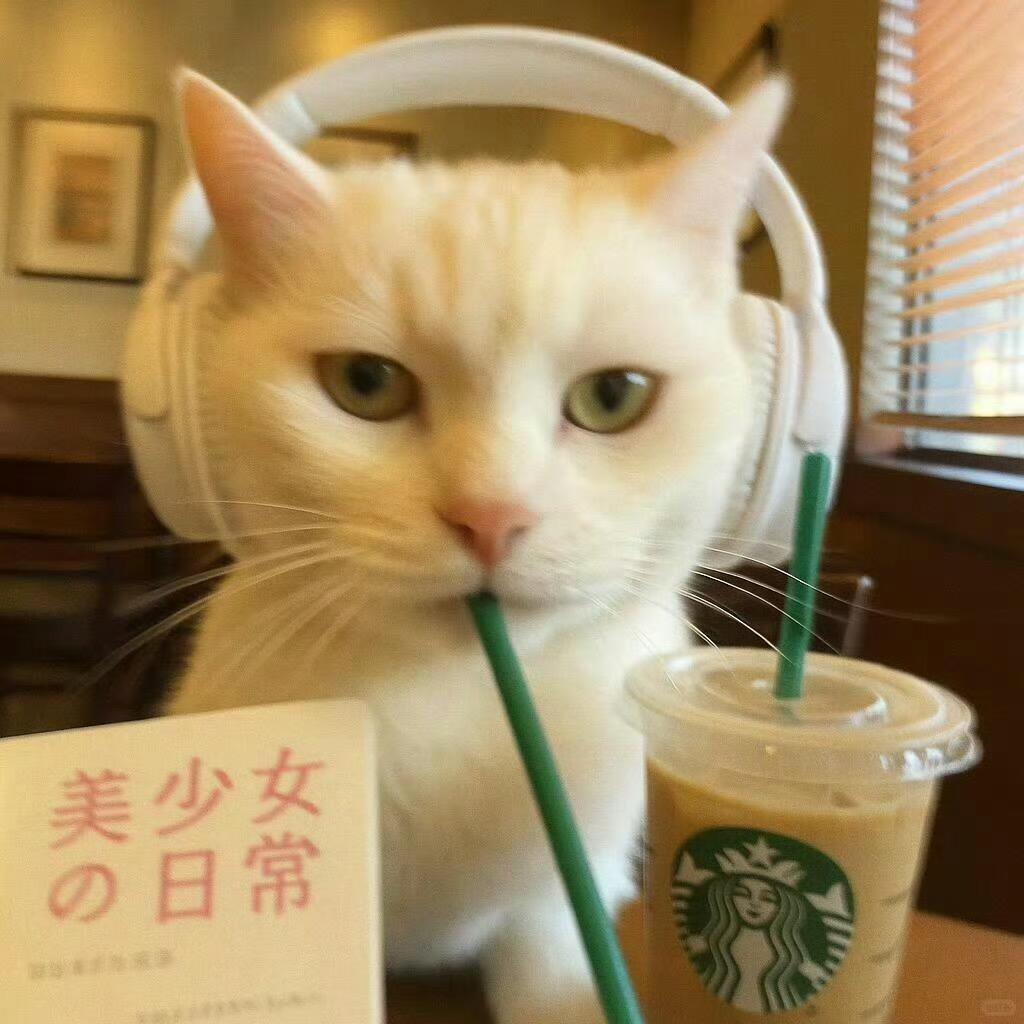 乘歌漫行
