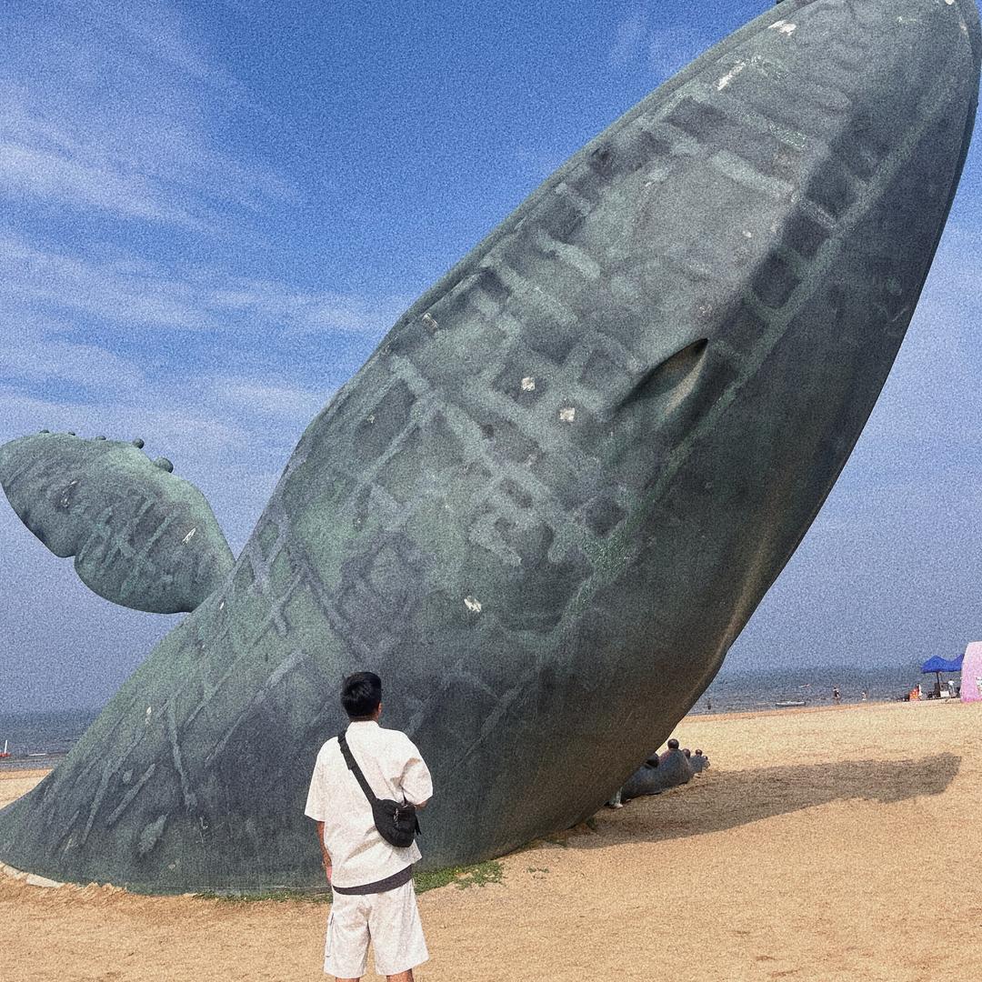 皮卡丘日记