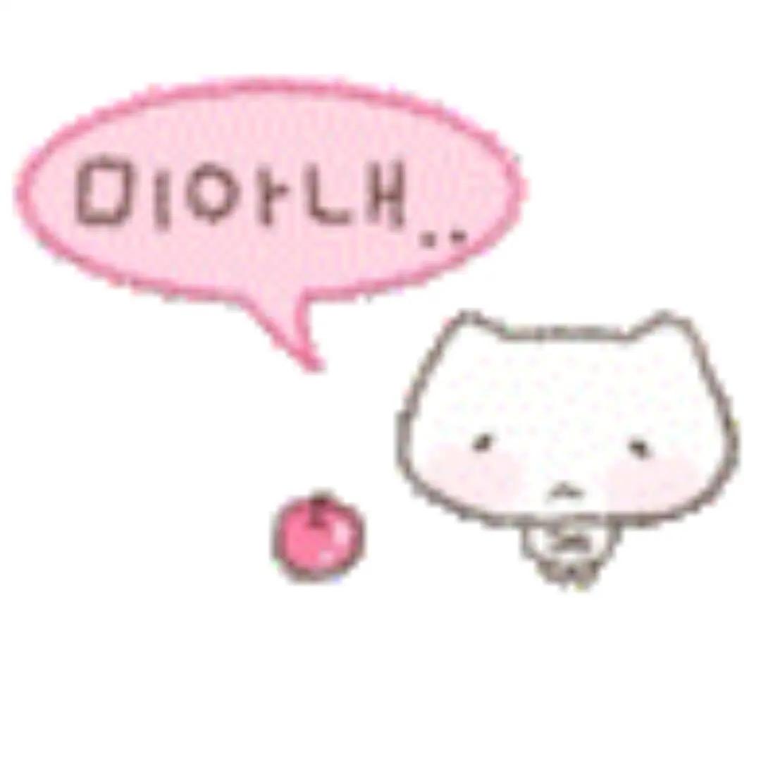 小 呆 猫