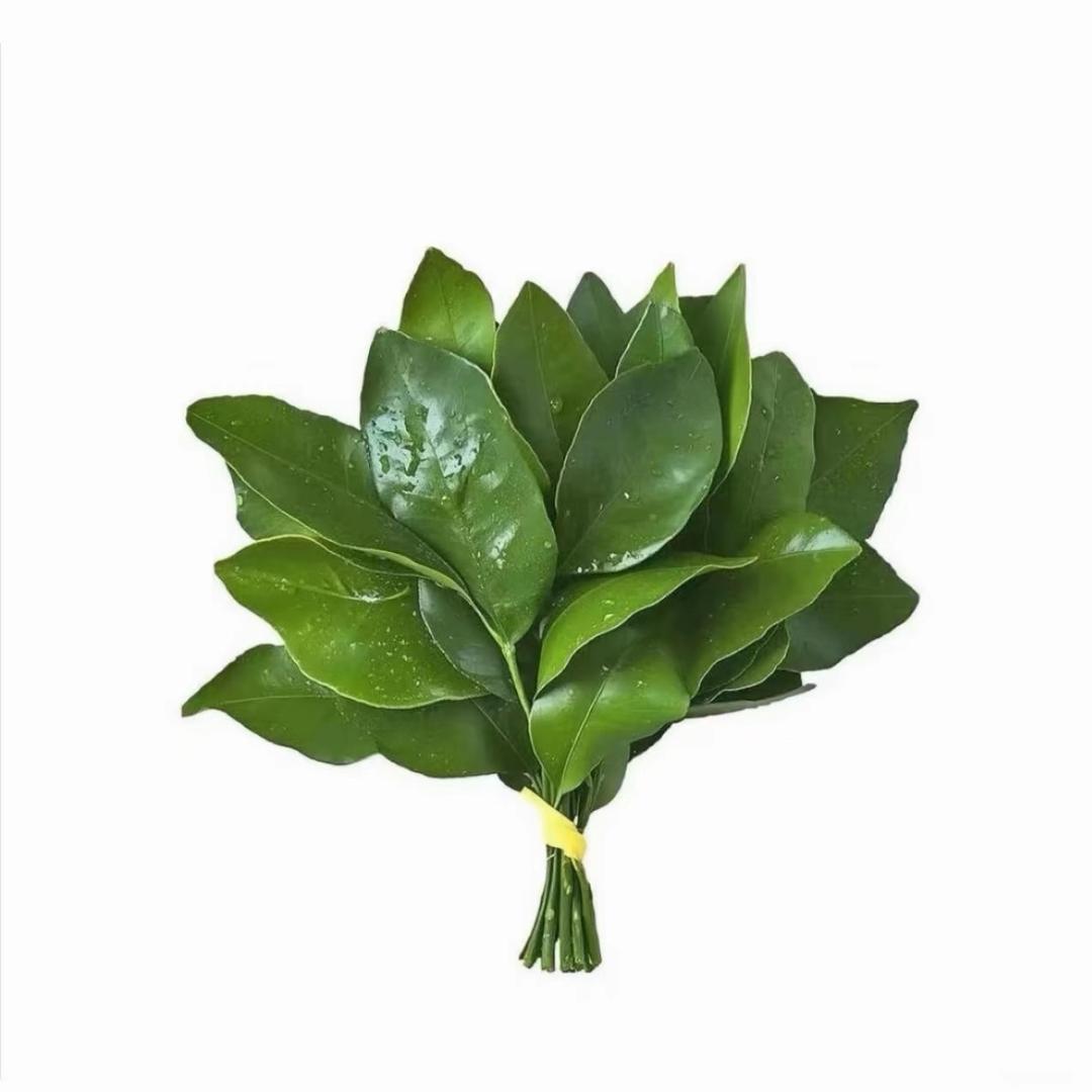 柚子🌱