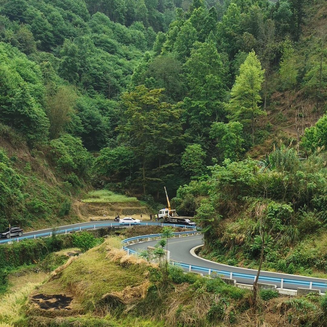 坚持到底罗先生