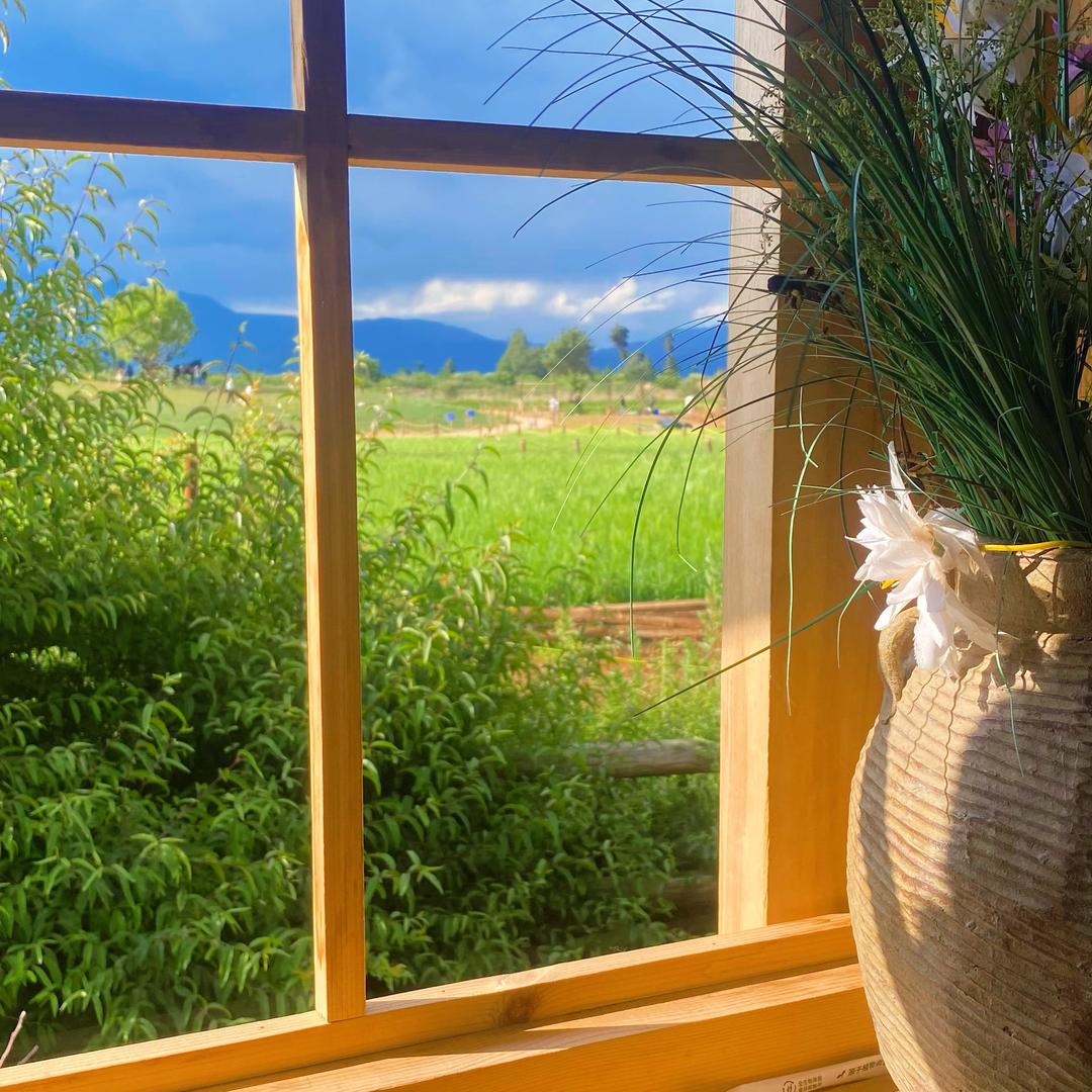 婷姐的小院生活