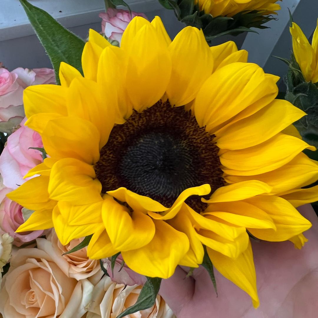 福禄寿喜生活坊