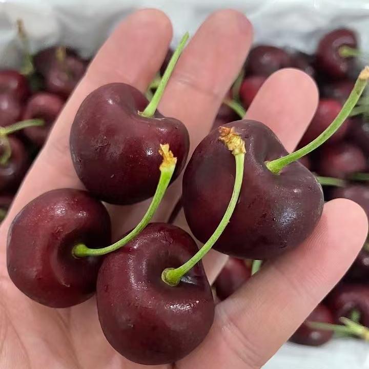 广州源丰果品有限公司