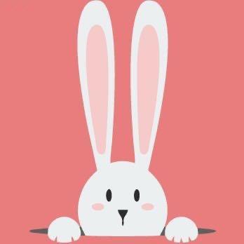 京兔箱包旗舰店