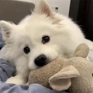 舒舒好物