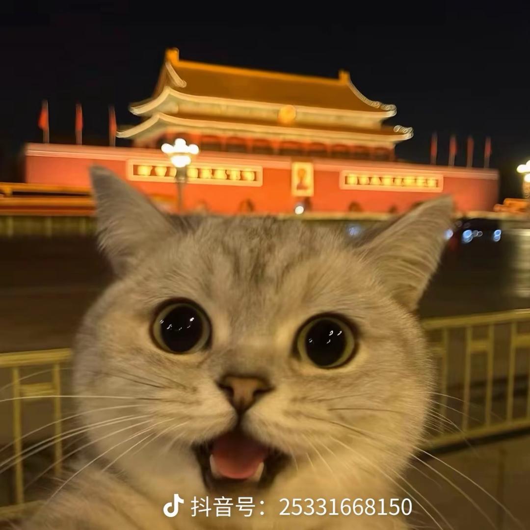 太懒 ±