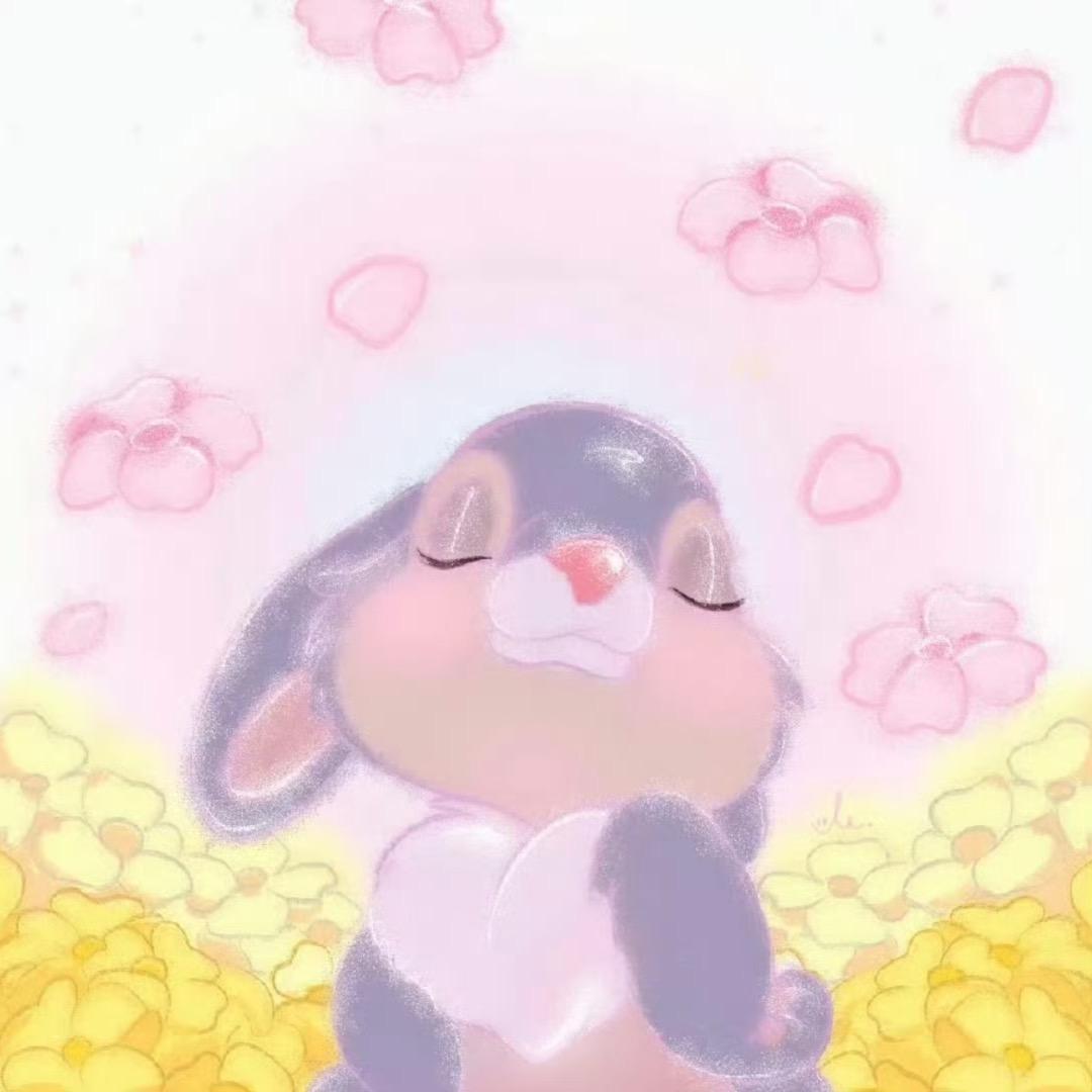 伊可