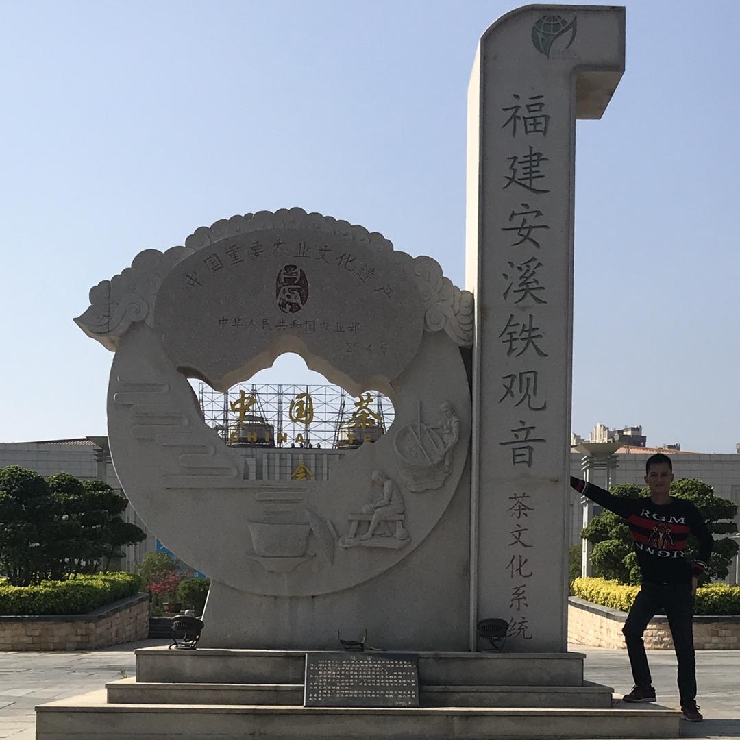 安溪茶博汇学金茶业