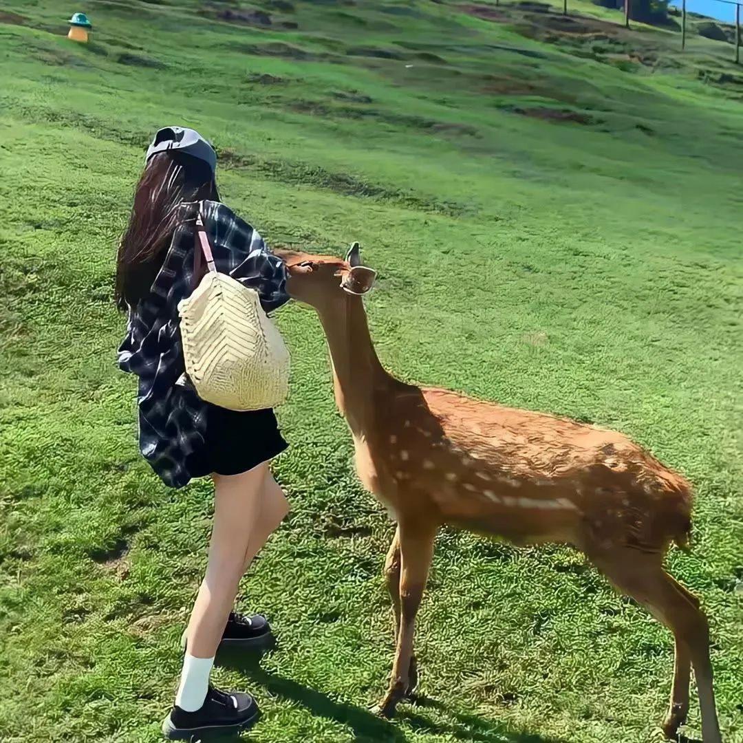 莹莹