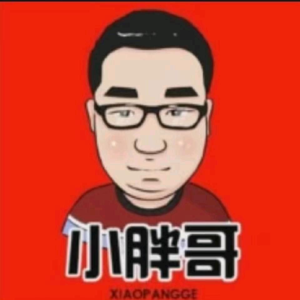 卖汽车🚗小胖哥
