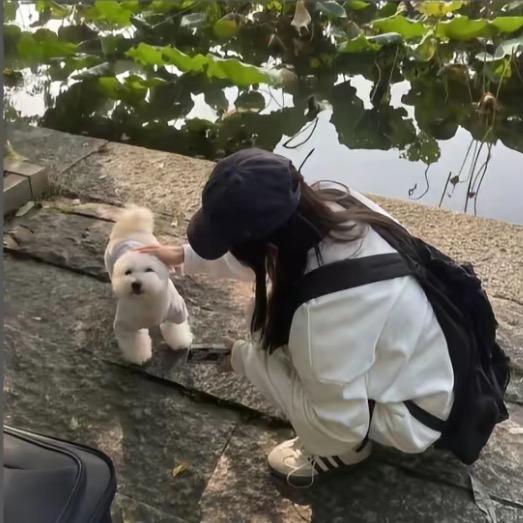 蜡笔小欣
