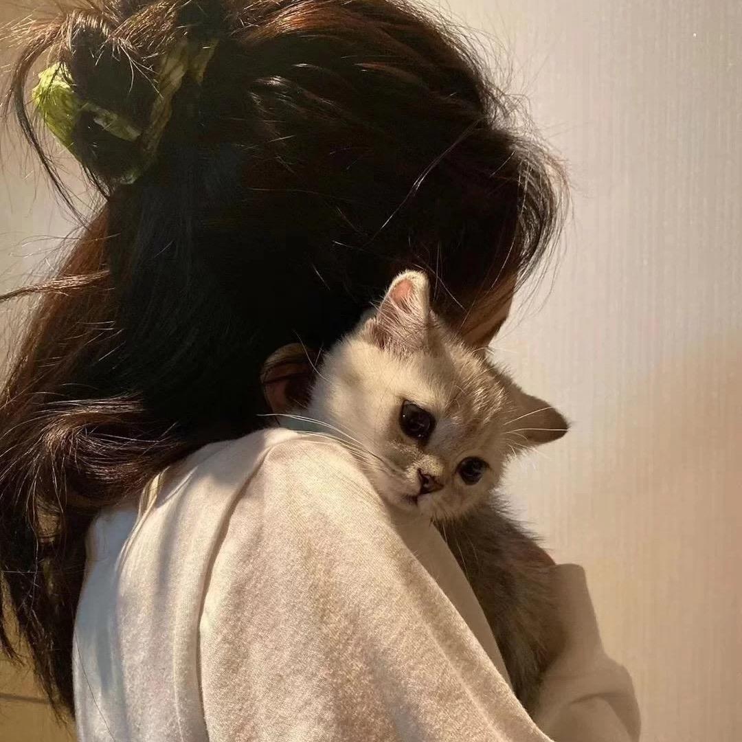 一只香香猪
