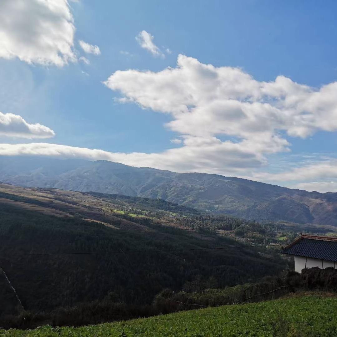 雨（公司招人）