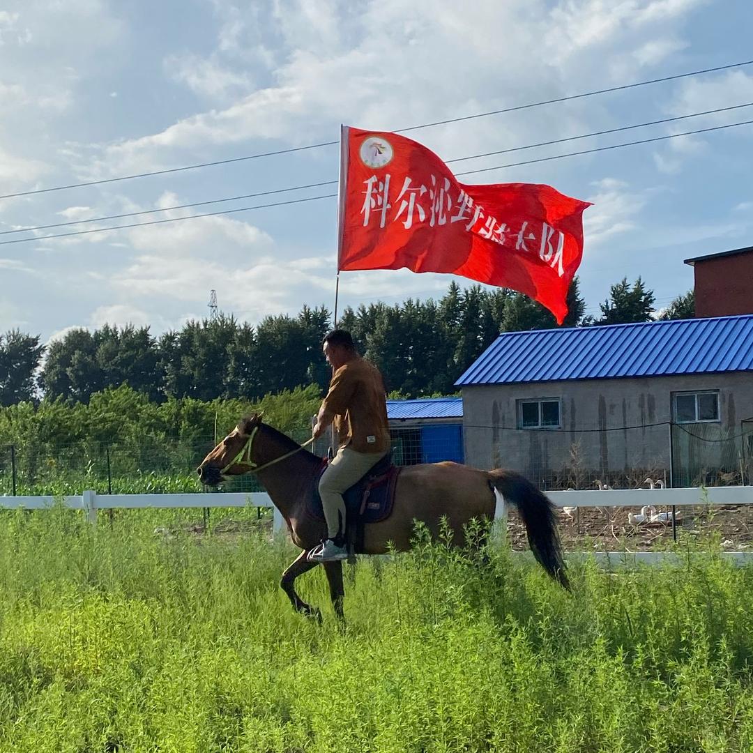 科尔沁养马龙哥