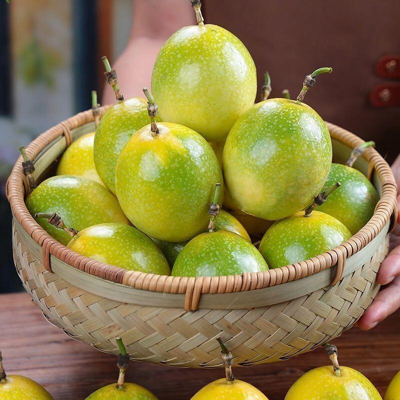 發發的果园农场