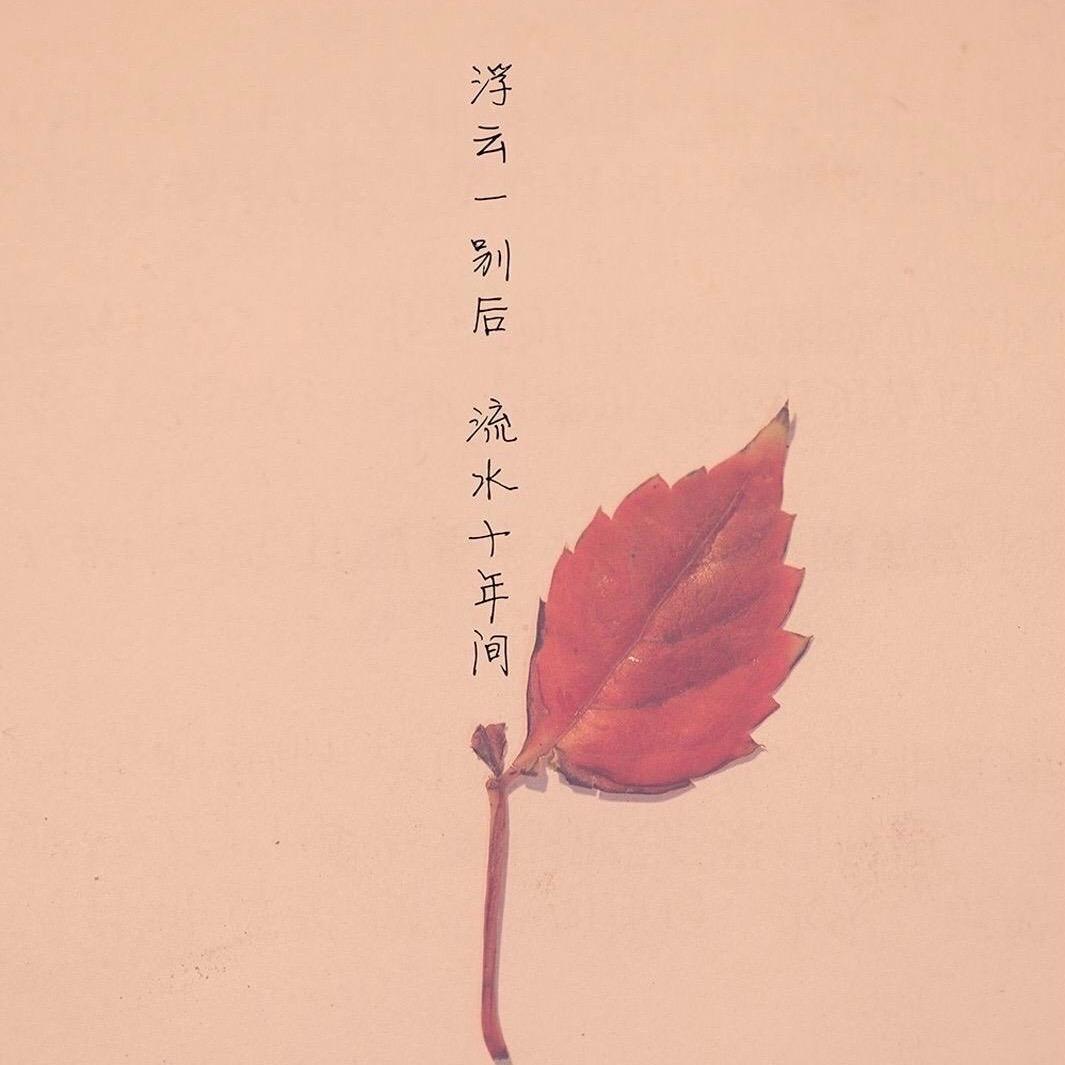 风青逸