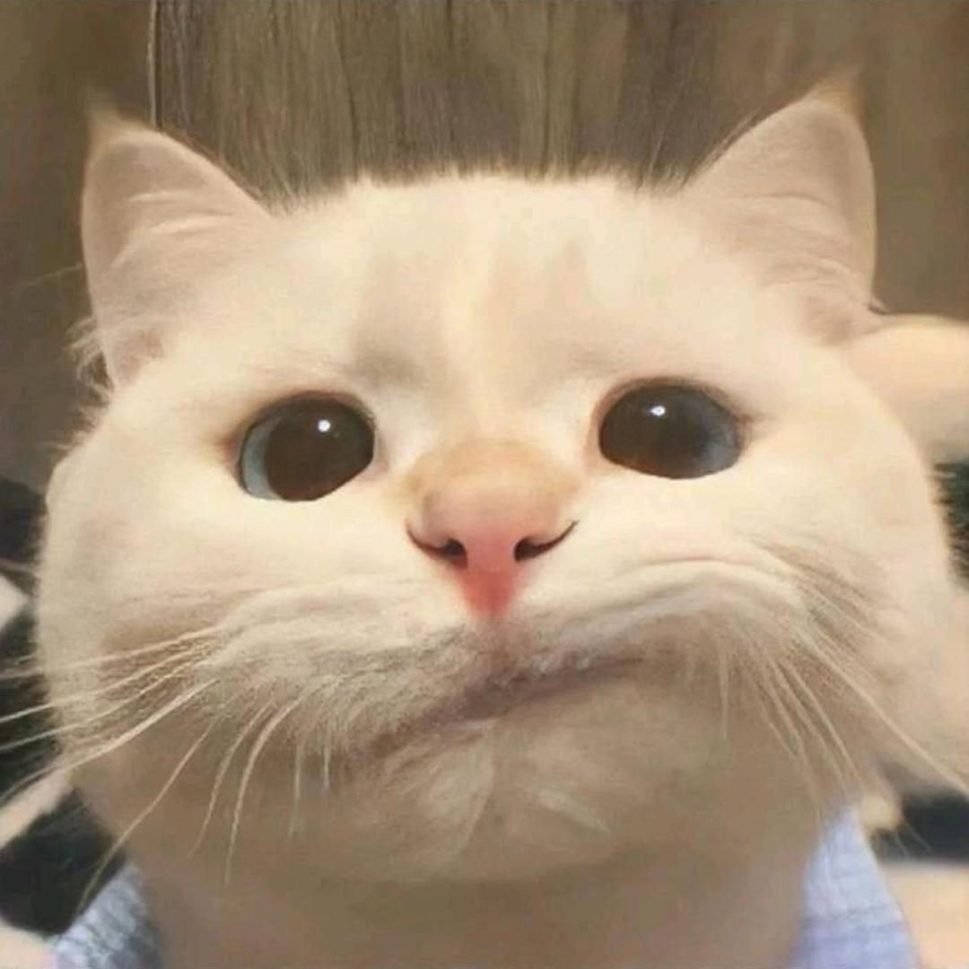 辣椒油_